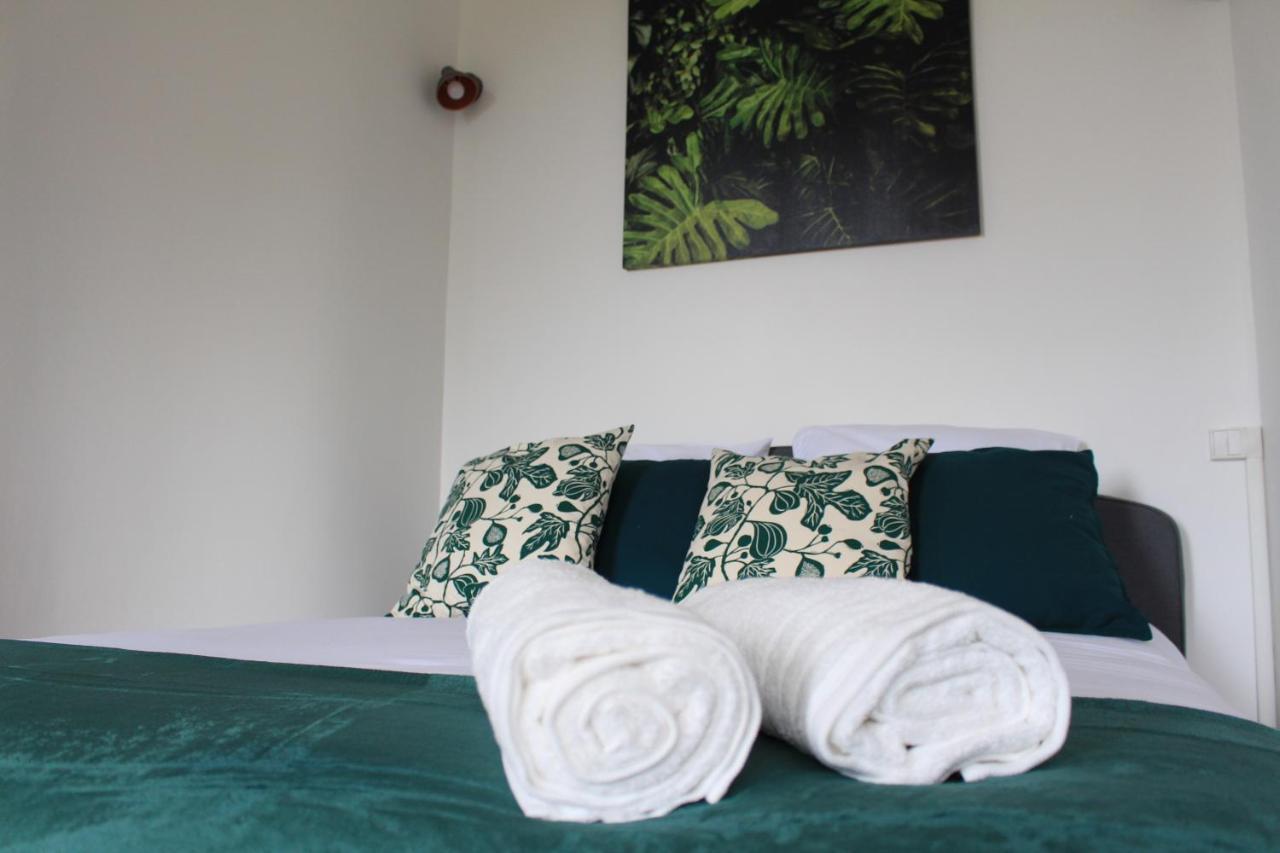 Paul Sabatier-T1-Vue Sur Jardin-Luxe-Wifi-Fi-Velo Appartement Castelnaudary Buitenkant foto